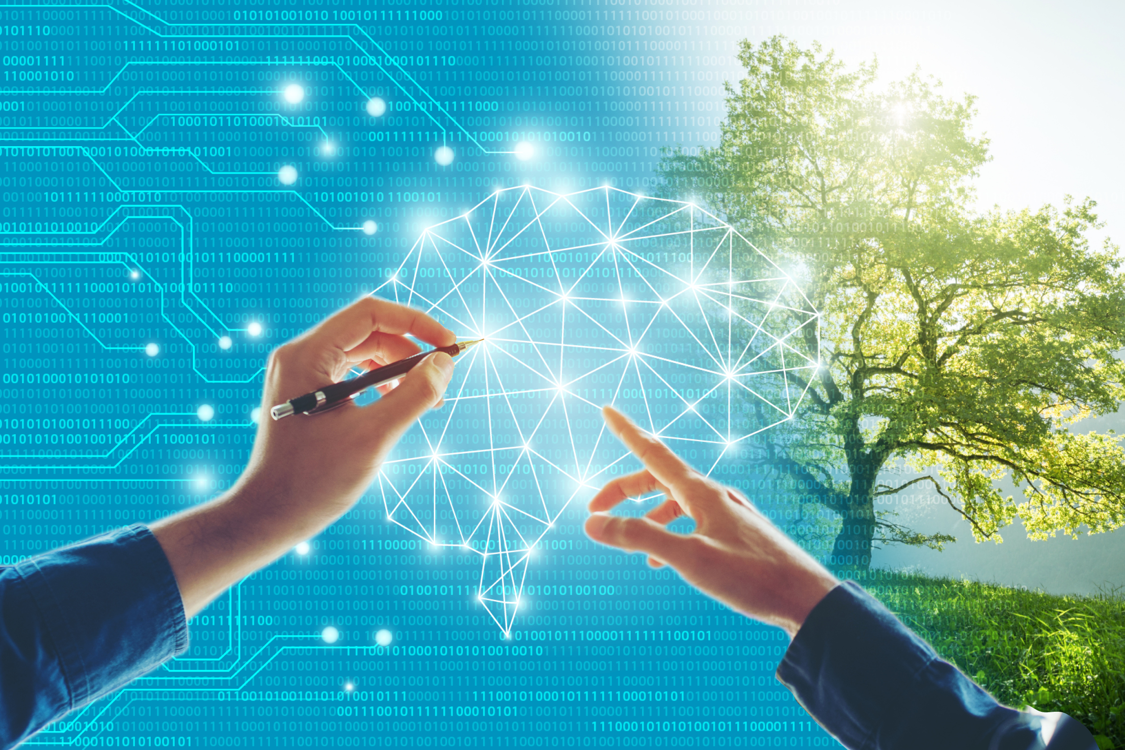 Sustainable Digital Innovation